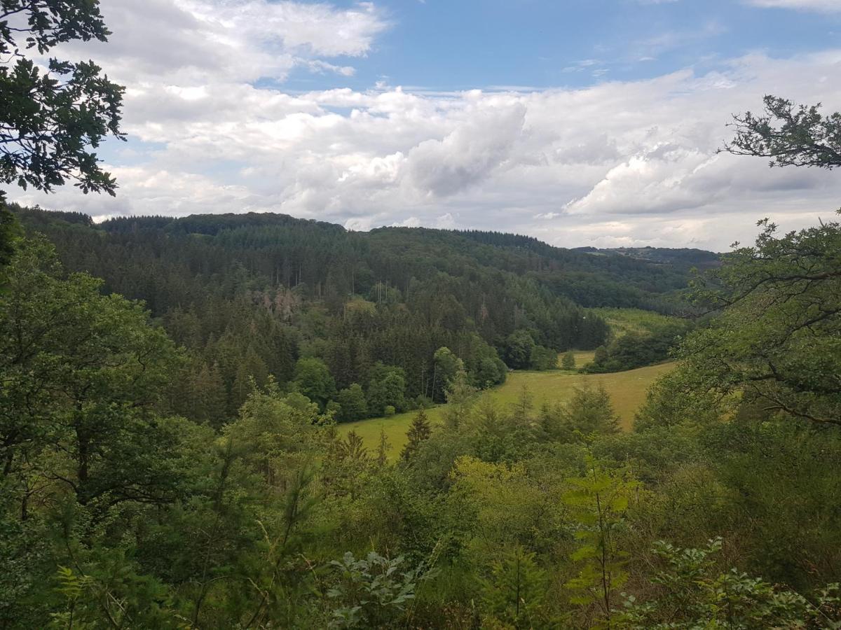 Altes Schreiner Haus In Der Vulkaneifel Brockscheid Exterior foto